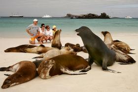 Unique wildlife and dramatic landscapes at Galapagos Islands