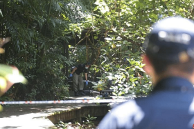 According to Chinese daily Lianhe Zaobao, the incident happened at about 6am near a bird watching tower at the park.