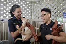 SCDF officers Debra Lee (left) and Wan Rony interacting with a Singapore special dog. The SCDF donated dog toys made from old fire hoses to the SPCA Singapore.