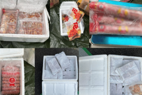 Illegally imported meat products, including pork and chicken skewers, seized by SFA at an open-air carpark near Joo Seng Road.