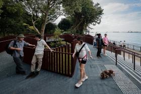 The elevated boardwalk at the new Keppel Coastal Trail at Labrador Nature Park.