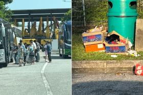 When the tourists moved from one bus to another, some of them left behind rubbish in the area, attracting many crows.