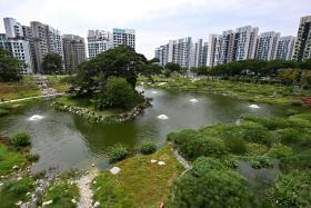 The Alkaff Lake, the centrepiece of the 13ha park, is more than just a scenic spot. 