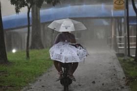 Heavy rain fell over the northern, western and central areas of Singapore on Nov 16.