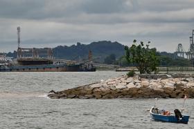 The water quality along the entire stretch of East Coast Park has returned to normal levels and stabilised following a major oil spill in June.