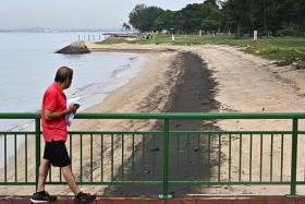 The oil spill along the shoreline of East Coast Park as seen from Bedok Jetty at about 10am on June 16.