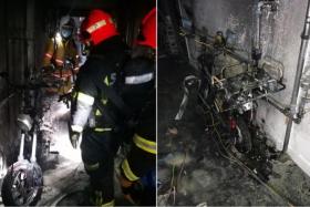 The Singapore Civil Defence Force said it was alerted to the fire at Block 94 Pipit Road at about 8.05pm.