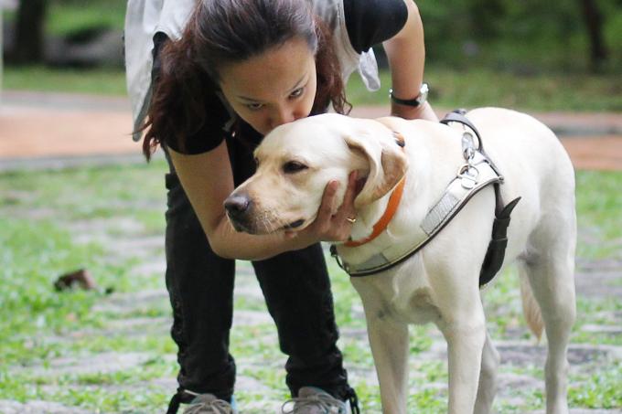 Cassandra chiu orders guide dog