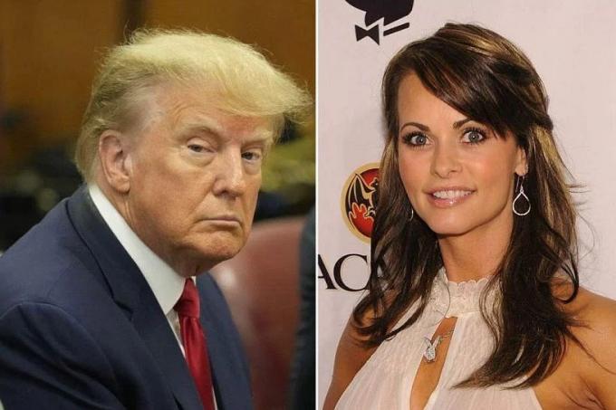 Who Is Karen McDougal, The Playboy Model In The Trump Case?, Latest ...